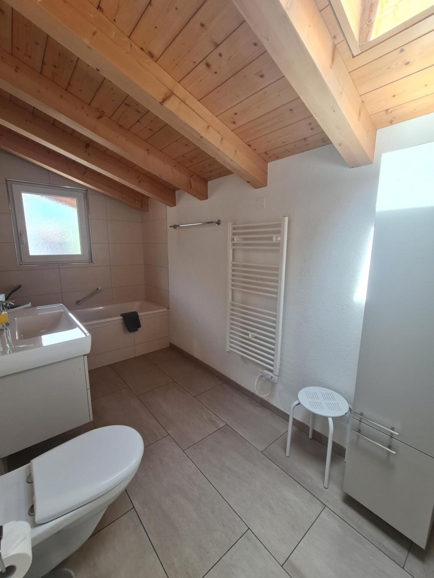 Апартаменти Jungfrau Penthouse - Aare Jungfrau Ag Вільдерсвіль Екстер'єр фото