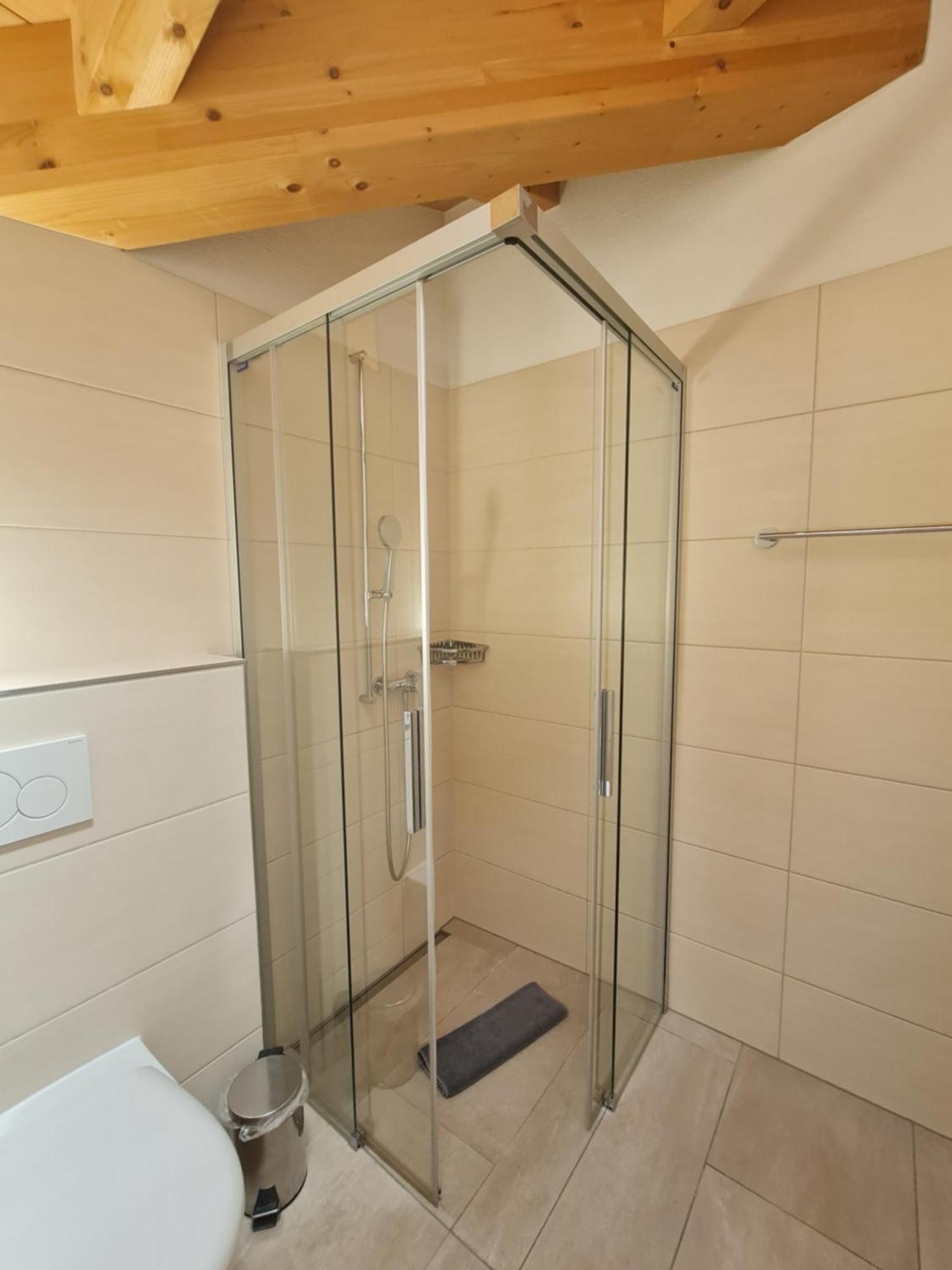Апартаменти Jungfrau Penthouse - Aare Jungfrau Ag Вільдерсвіль Екстер'єр фото
